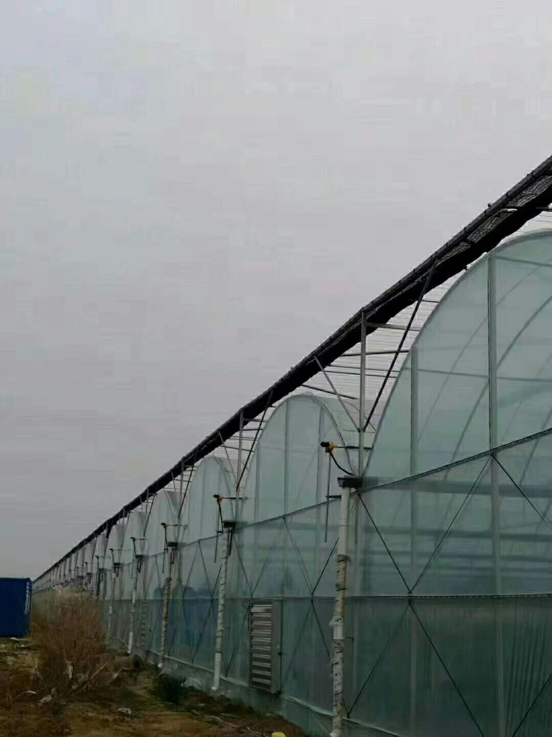  厂家直销，养殖大棚，种植大棚，单体大棚，连体大棚