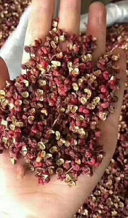 张家口花椒籽  质量没问题，东西好的很