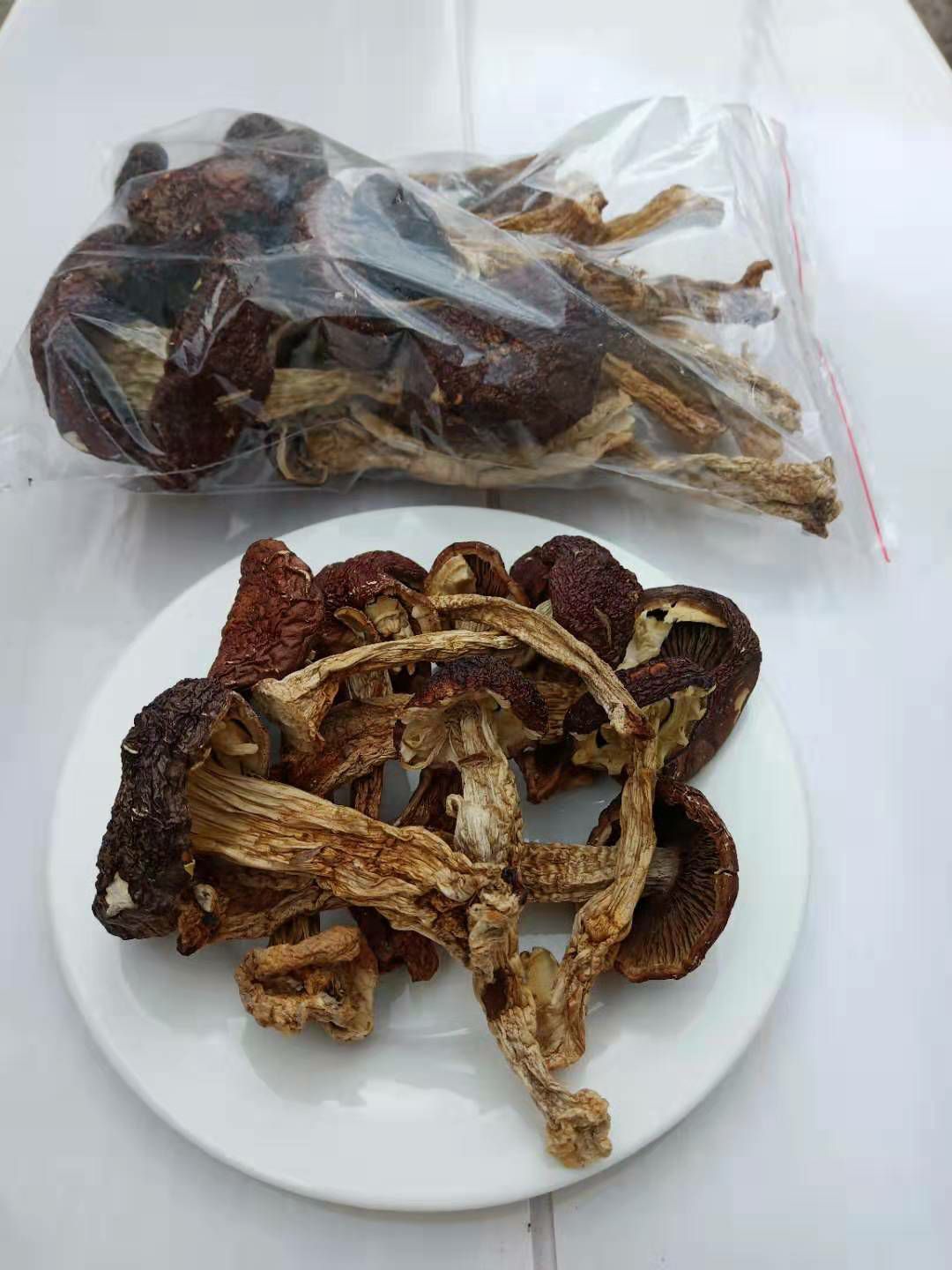  林下赤松茸，无公害，天然绿色农产品。