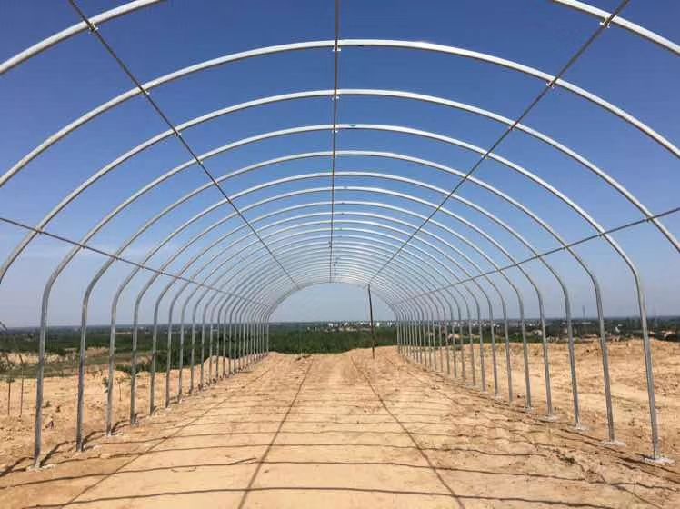 养殖大棚 日光棚