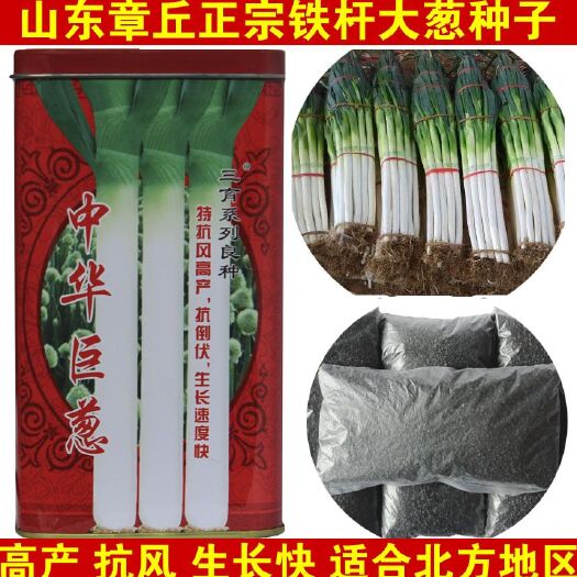菏泽章丘大葱种子 正宗章丘大葱中华巨葱生长速度快产量高
