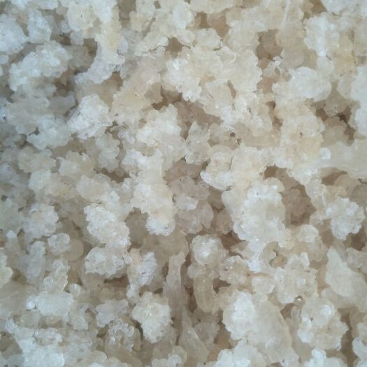 织金县雪燕 物美价廉