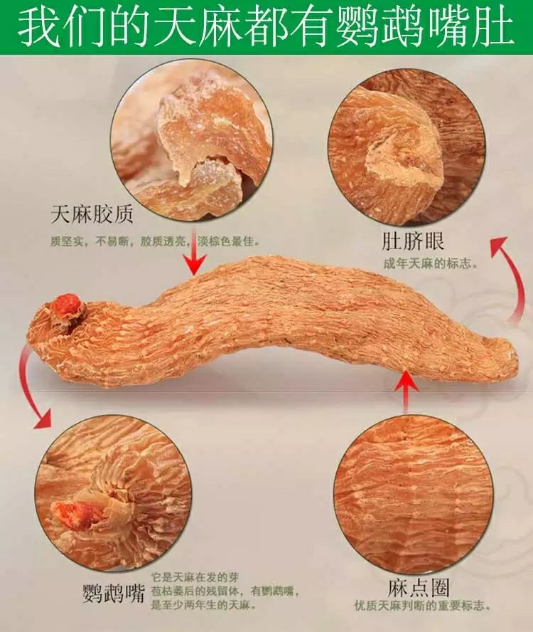 天麻云南昭通天麻小草坝天麻可加工片，粉超细粉