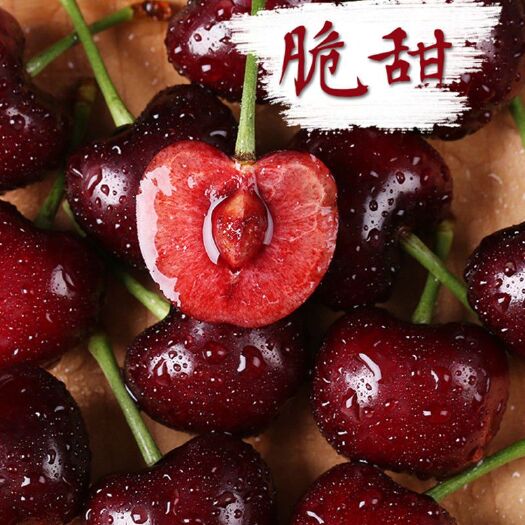 平邑县美早苗  嫁接樱桃苗 美国车厘子 美早 黄蜜 红灯等樱桃苗