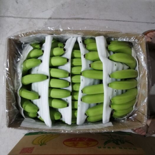 自贡 精品大香蕉！质量保证！价格实惠！！
