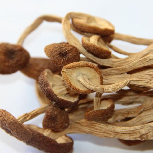 广昌县 不开伞营养茶树菇，特级茶新菇产地直发