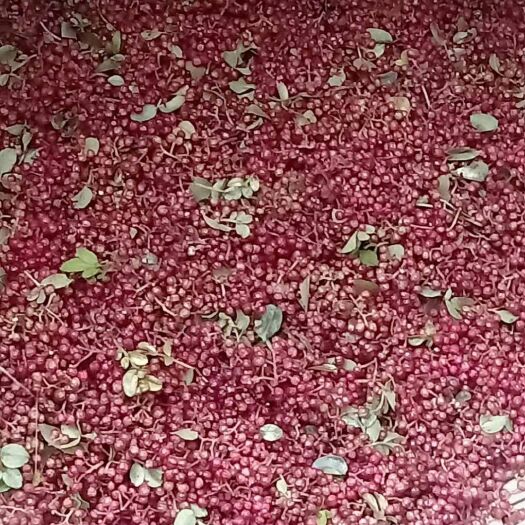 德昌县泡核桃  花椒红椒，干货，120元一斤，天然无污染无公害，口感及佳。