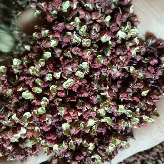 盐源县盐源花椒 盐源红椒