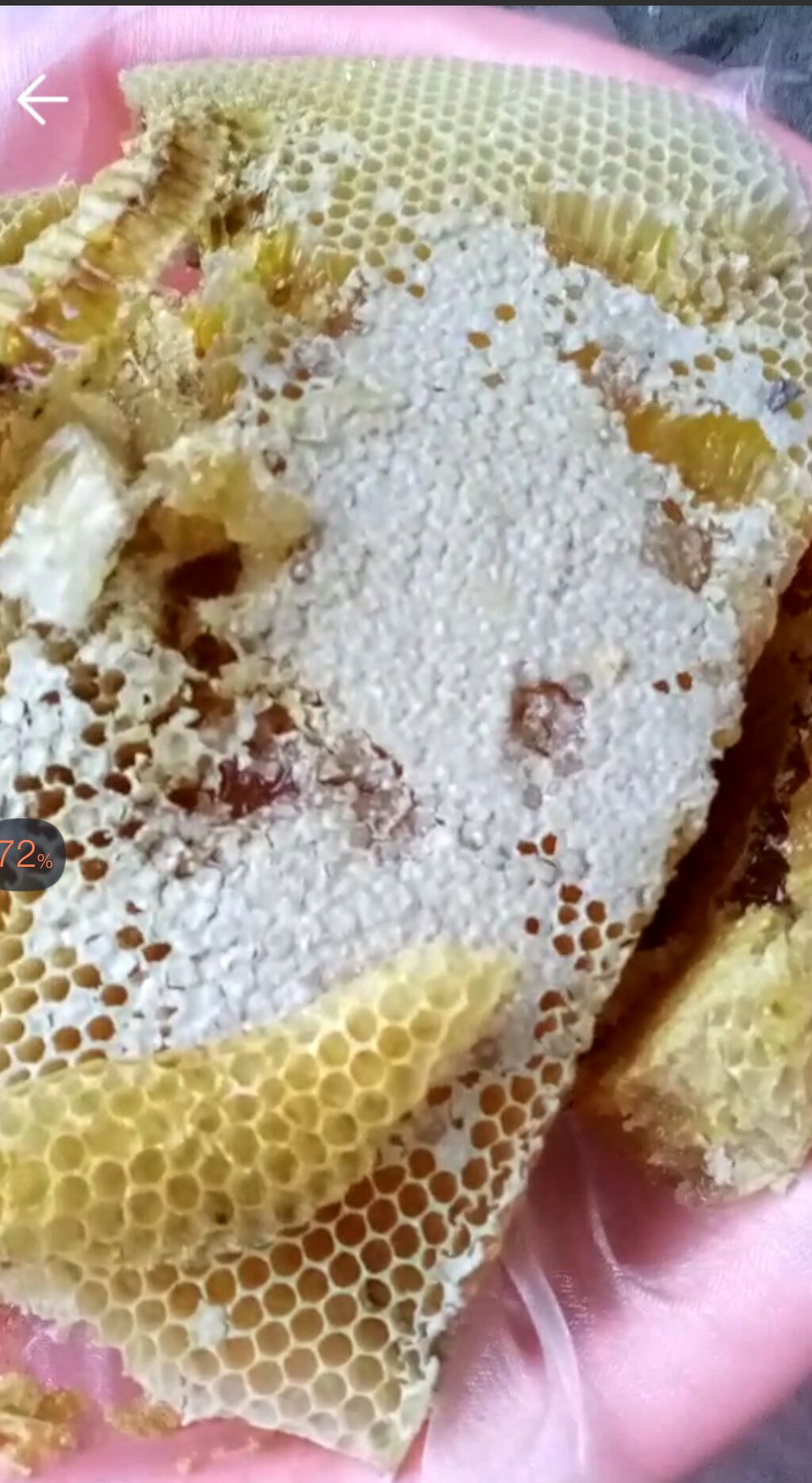 巢蜜  传统养殖，春天放蜂箱，野蜂进去安家秋天割蜜