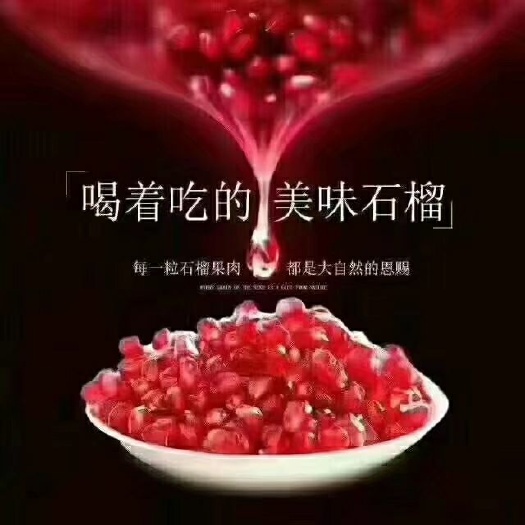 会理市 会理突尼斯软籽石榴！果园采摘直销！
