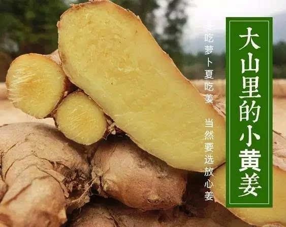 双牌县 生姜老姜姜母价格波动