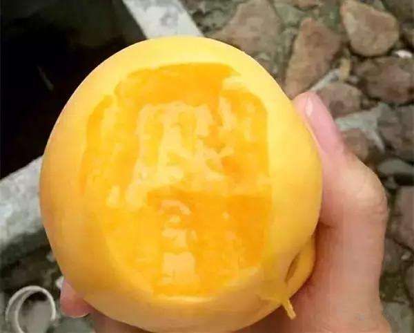 丰县 锦绣黄桃（5斤起拍，发货后不能退货拒收）