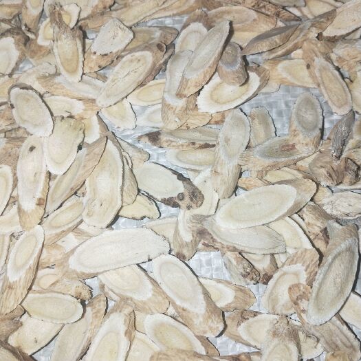 岷县 黄芪条。黄芪瓜子片。