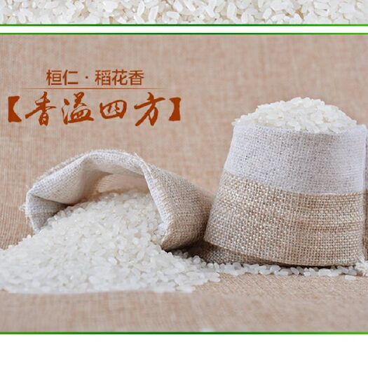 桓仁县 桓仁贡米