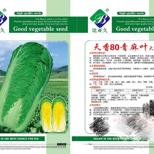 扶沟县大白菜种子 天香80青麻叶大白菜种抗病抗寒大花囗感好