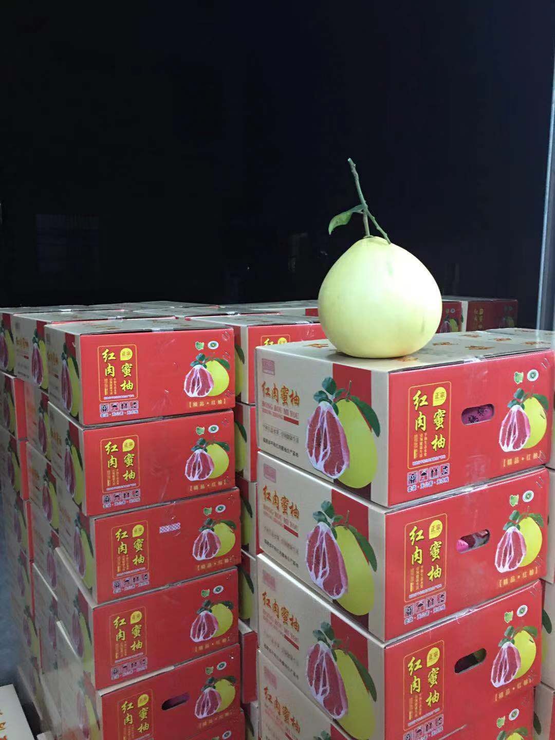 红心柚 福建漳州平和琯溪三红，红心