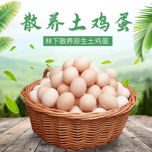 南昌县 农家散养母鸡下的蛋新鲜山林放养土鸡蛋早枚包邮