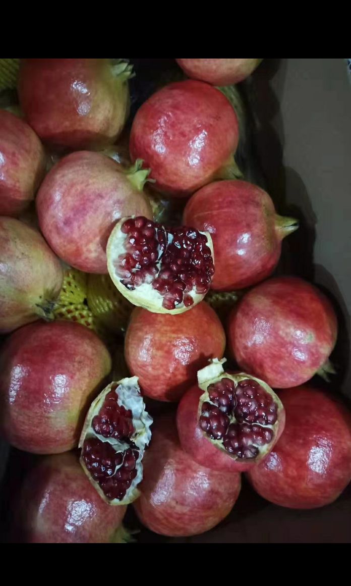  会理软籽硬籽石榴 自产自销，拆袋中，熟度