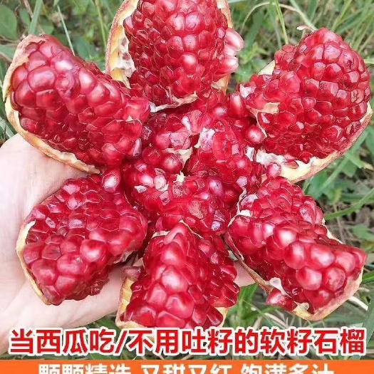 会理市会理石榴 000  177  60149  360