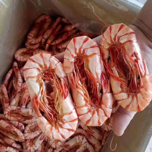 饶平县烤虾干 海水虾干