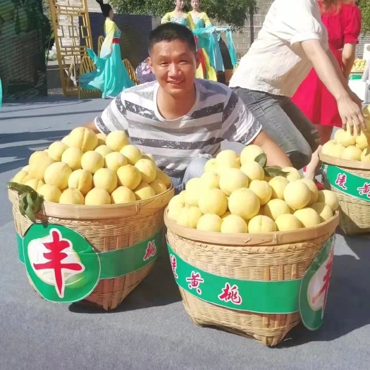 炎陵县 炎陵高山黄桃