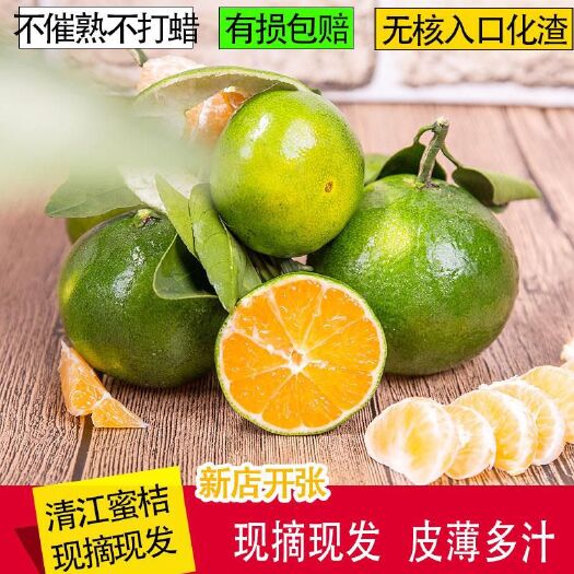 资兴市 橘子水果新鲜蜜桔清江柑桔现摘现发孕妇酸甜蜜橘薄皮无籽资兴桔