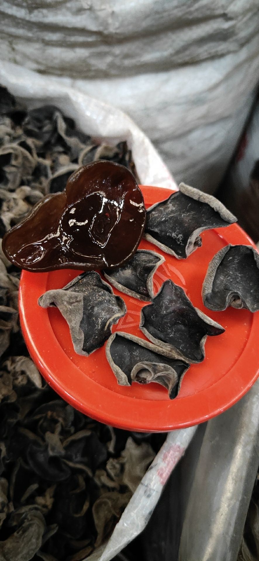  黑龙江密山木耳
