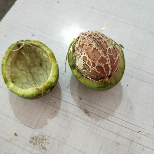 武陟县 新鲜核桃，口感好。