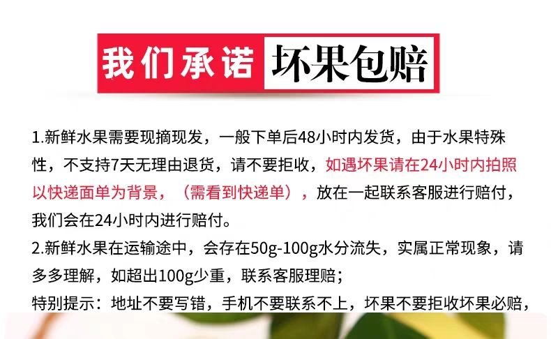 蜜柚 正宗梅州金柚白肉柚 现摘产地直供省内12个包邮24小时发货