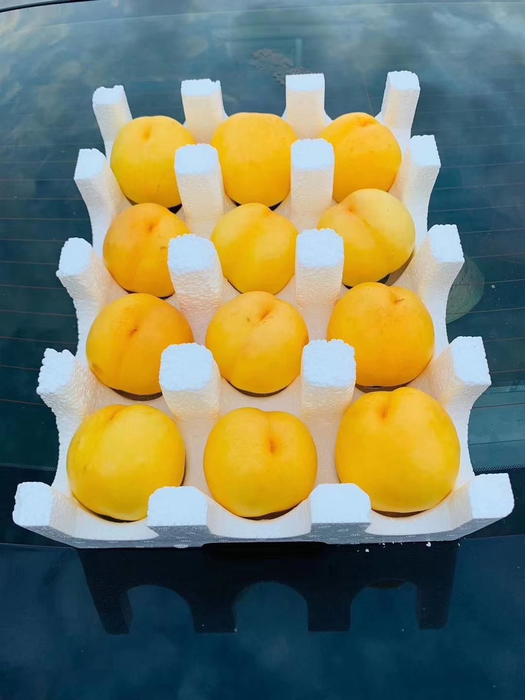 黄菊油黄油桃