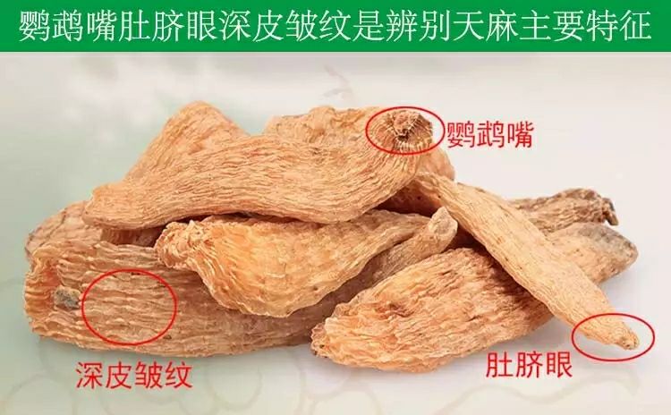 天麻云南昭通天麻小草坝天麻可加工片，粉超细粉