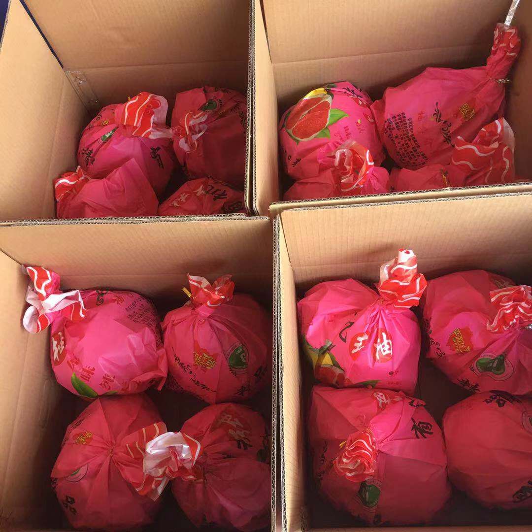 红心柚 福建漳州平和琯溪三红，红心