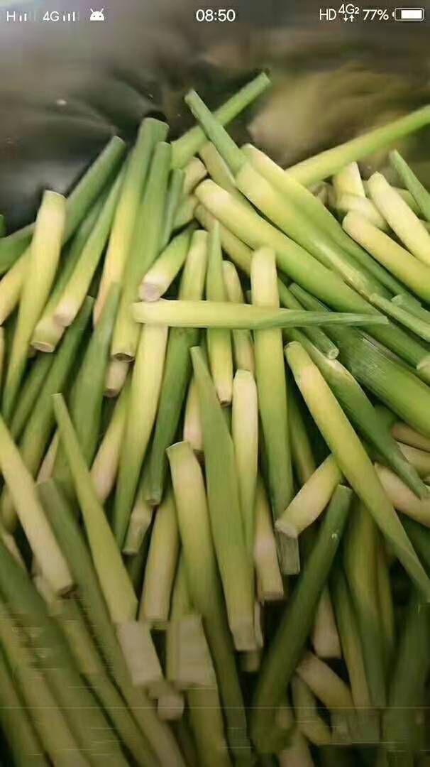 乌米菌 出售高粱乌米