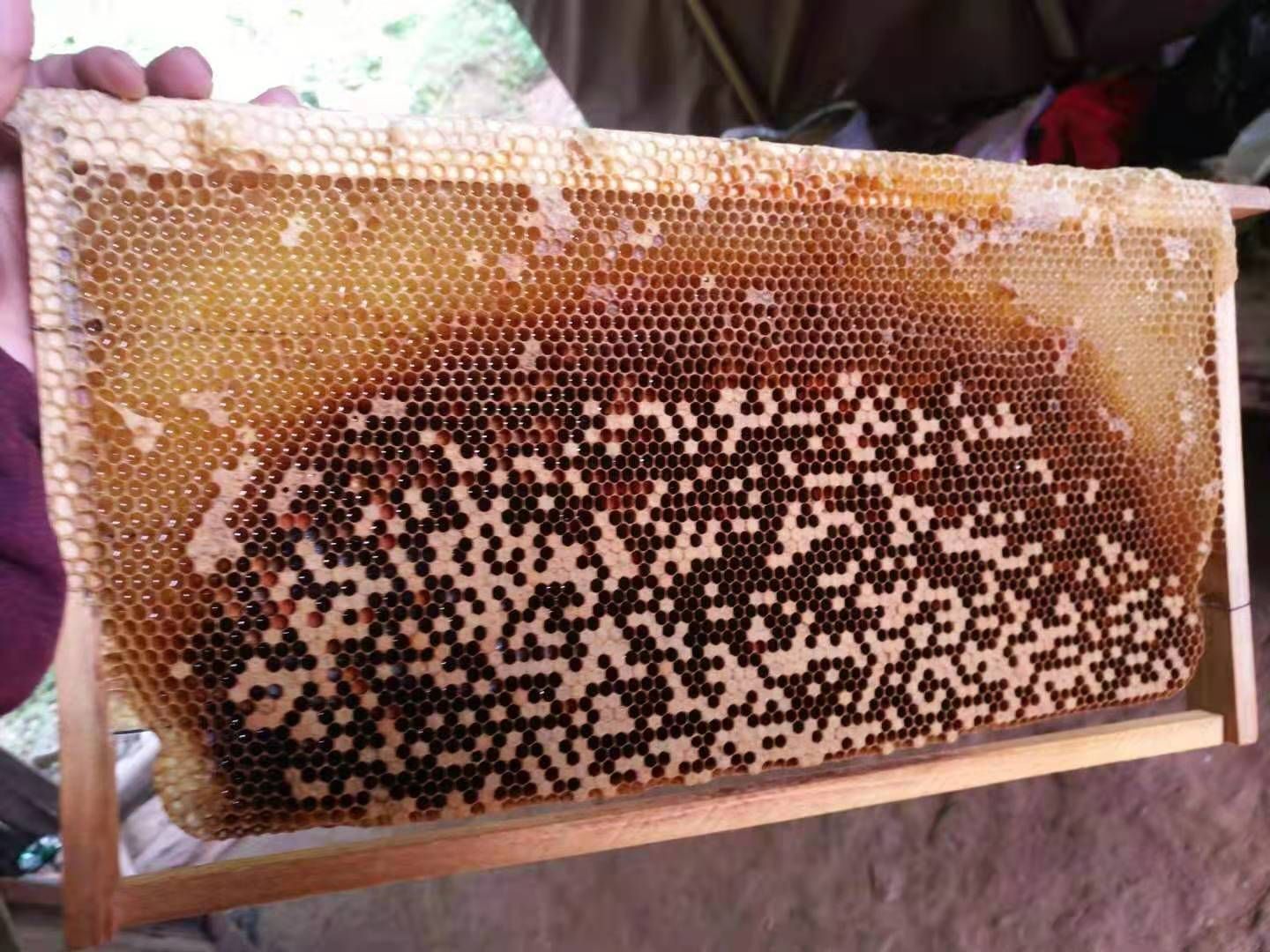  正宗纯野生蜂蜜，深山老林的天然蜂蜜。假一赔十