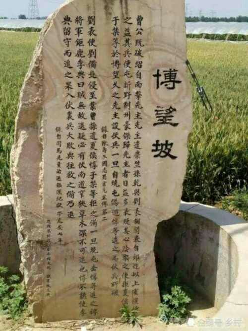  博望王长来农场的黄金梨:玉皇李正在热卖中欢迎各批发商采购