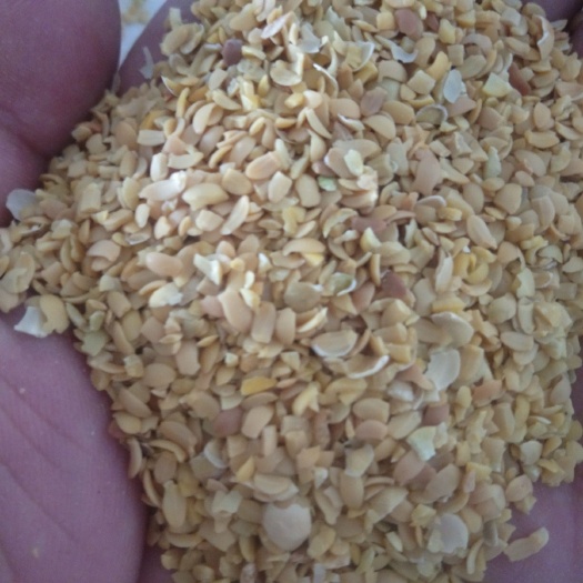 临清市黄豆瓣 生大豆 1等品