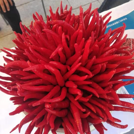 沁县朝天椒 5~10cm 特辣 红色 