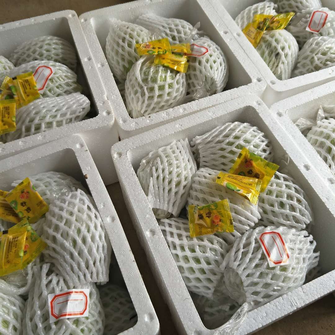 白心番石榴四季梨芭乐甜脆新鲜现摘现发绿色水果广西产地