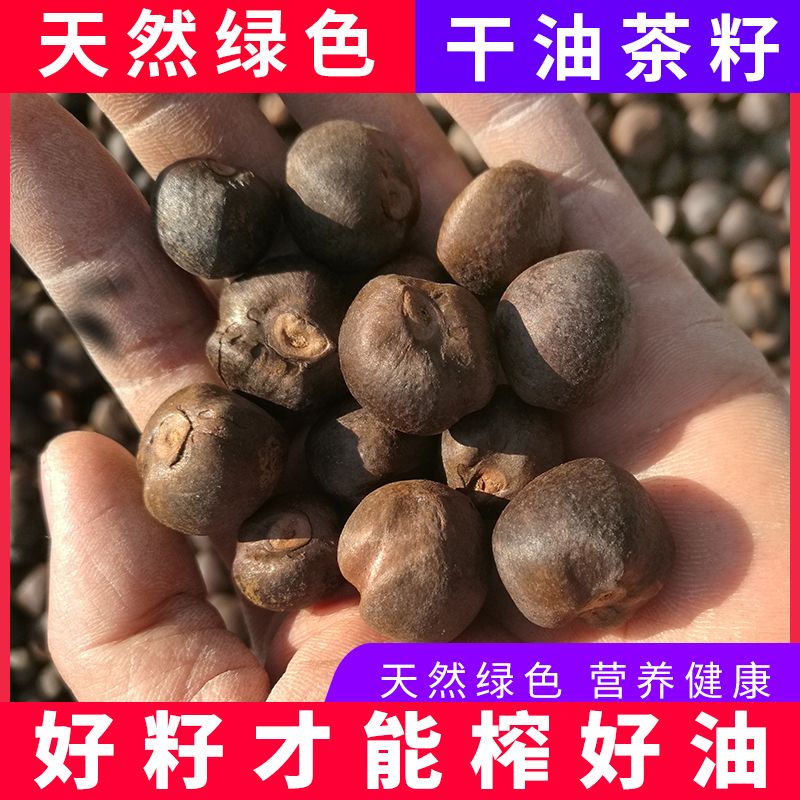 干油茶籽茶籽