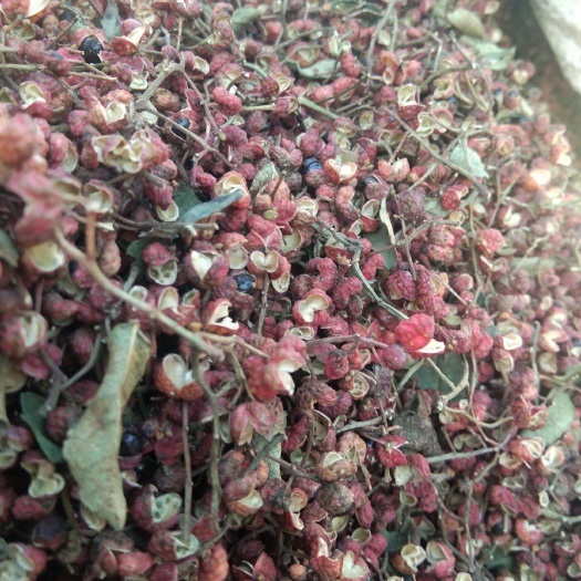 芮城县大红袍花椒 毛货