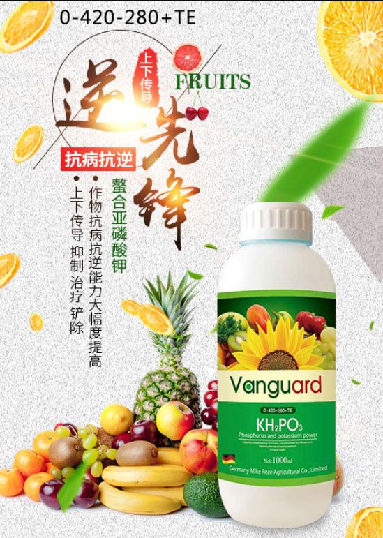 精选亚磷酸钾叶面肥水溶肥高磷高钾杀菌膨果增甜增产厂家批发