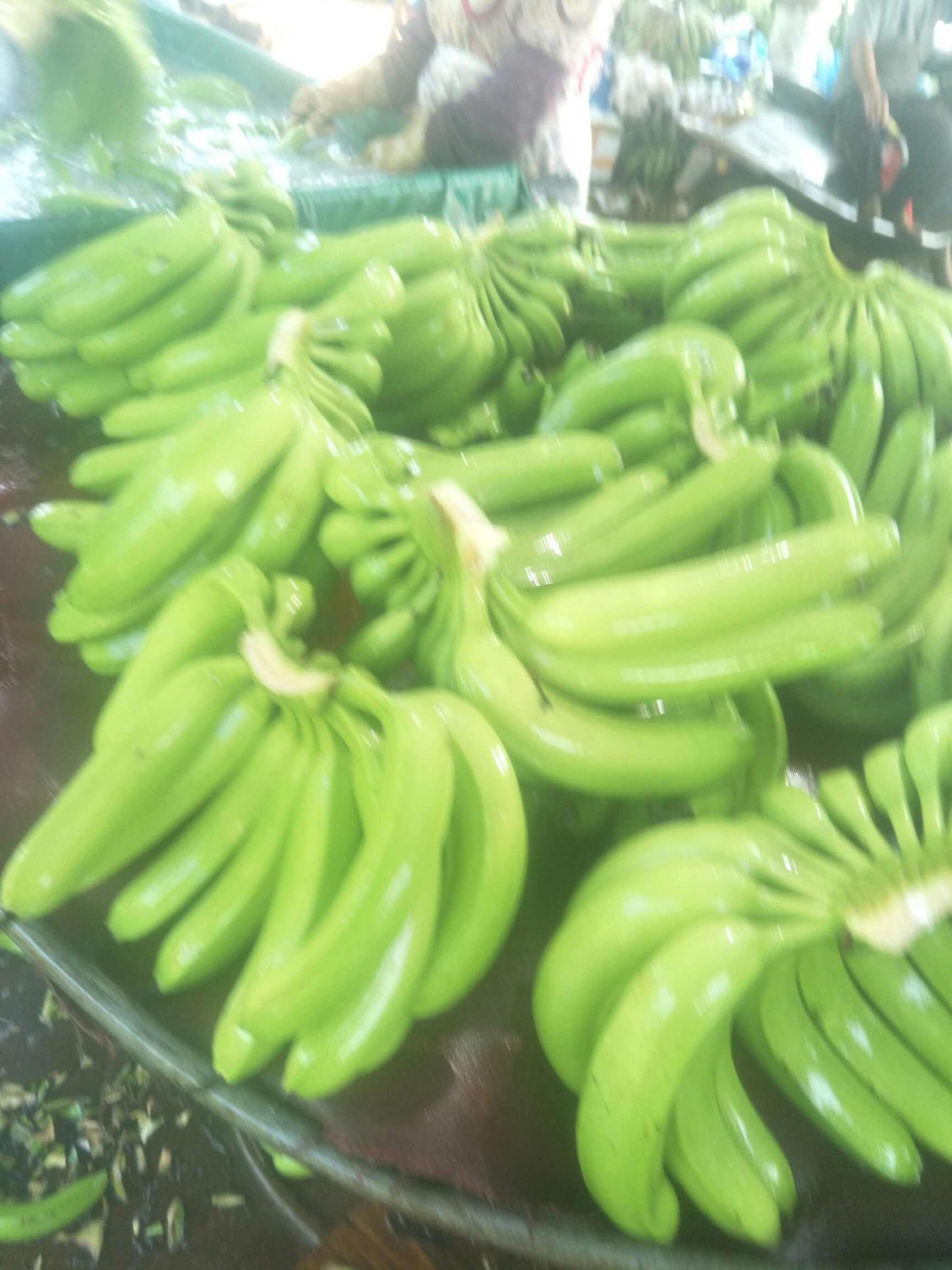 广东香蕉1号 七成熟