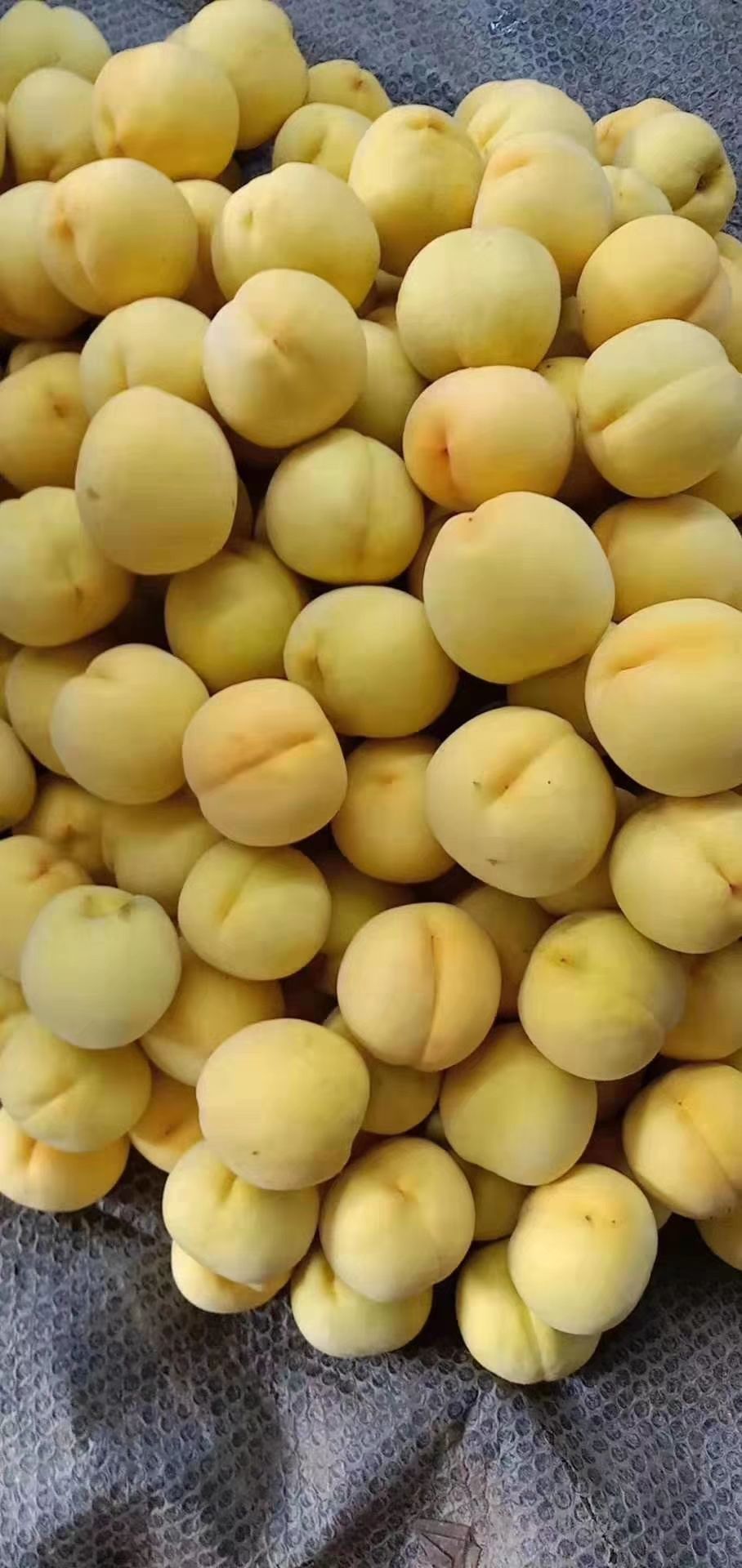 锦绣黄桃 黄锦绣