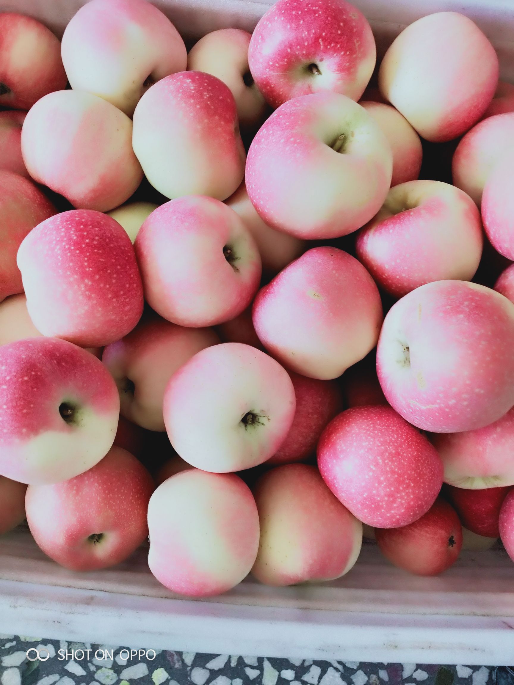 陕西高山纸袋嘎啦