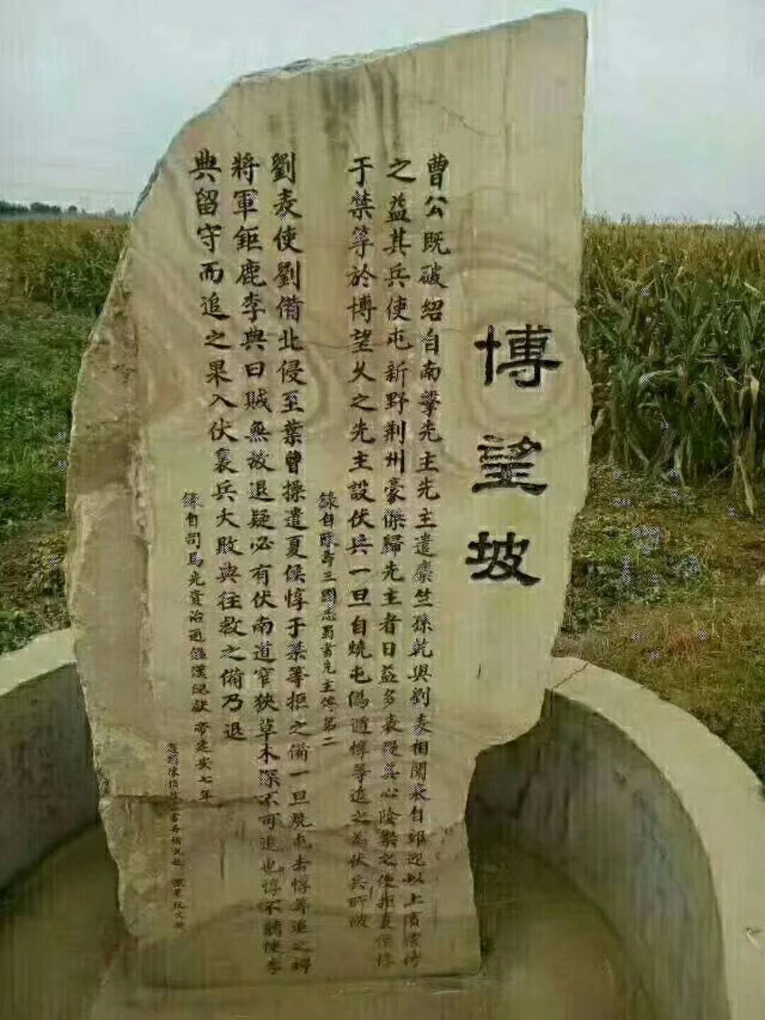 正宗黄金梨