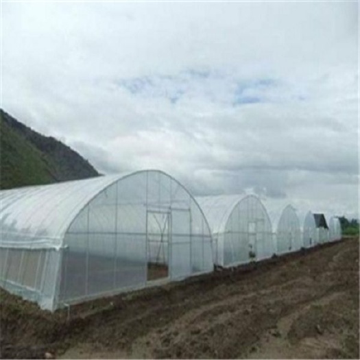 沭阳县 蔬菜大棚