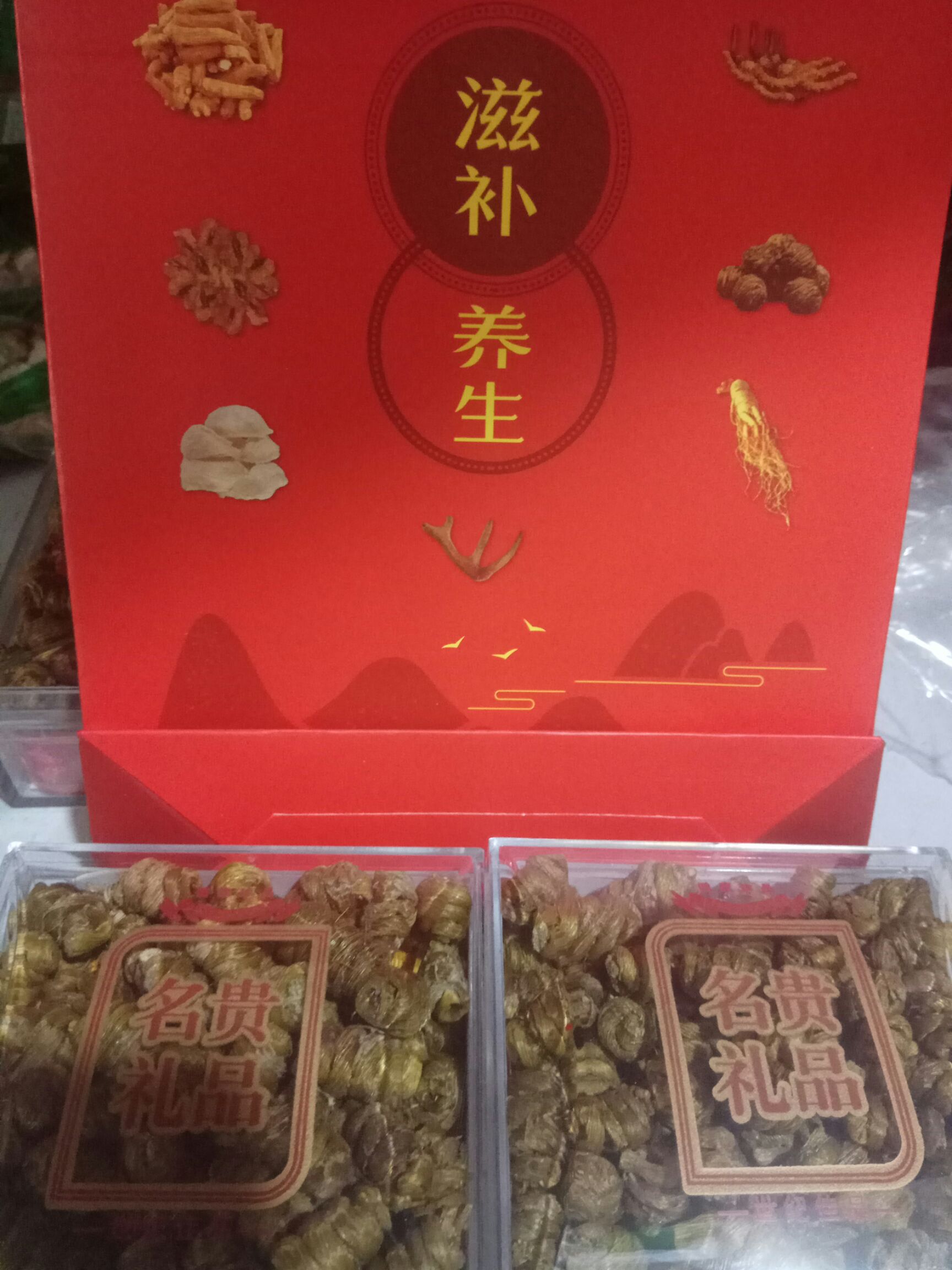 铁皮石斛