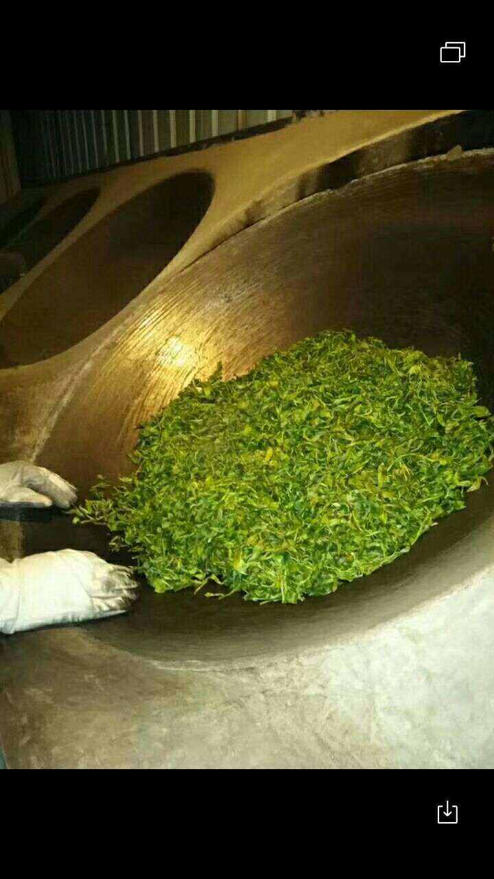  世界茶源，普洱茶都