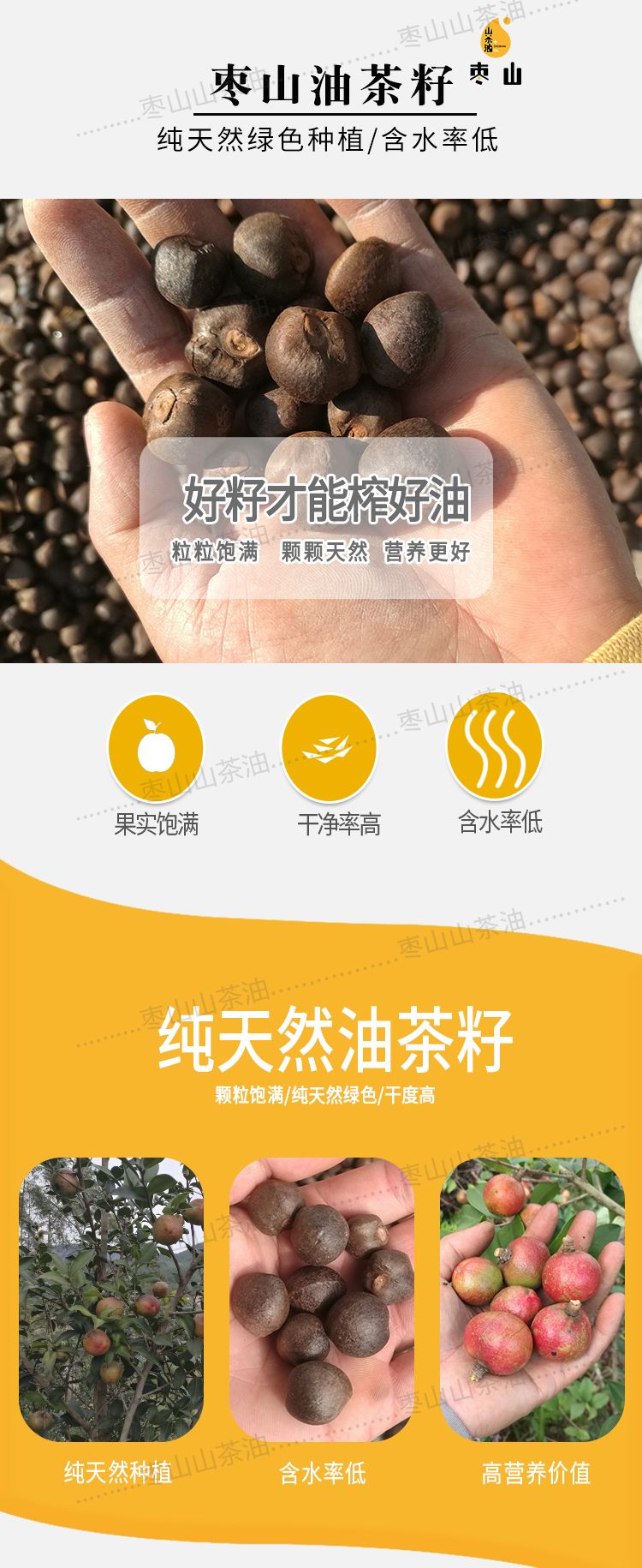 干油茶籽茶籽
