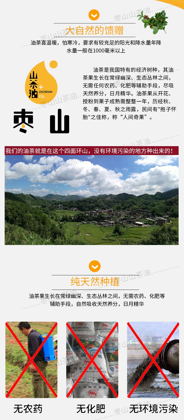 干油茶籽茶籽